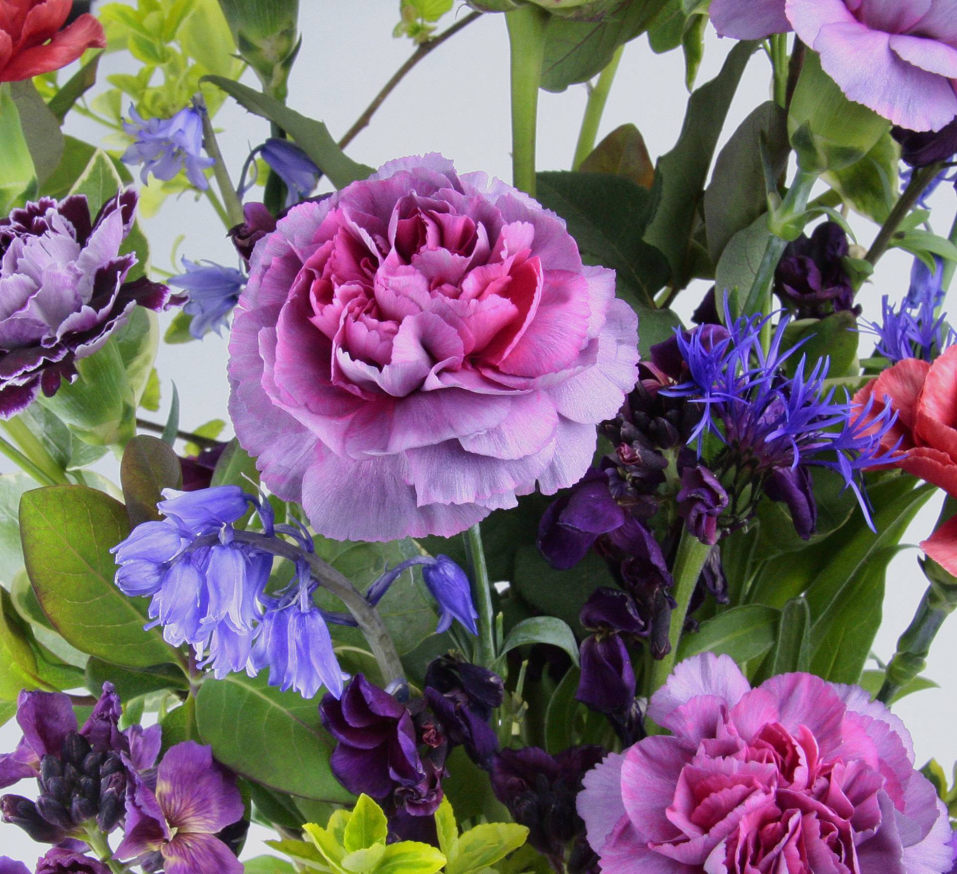 Flowers-front-cascade-collection